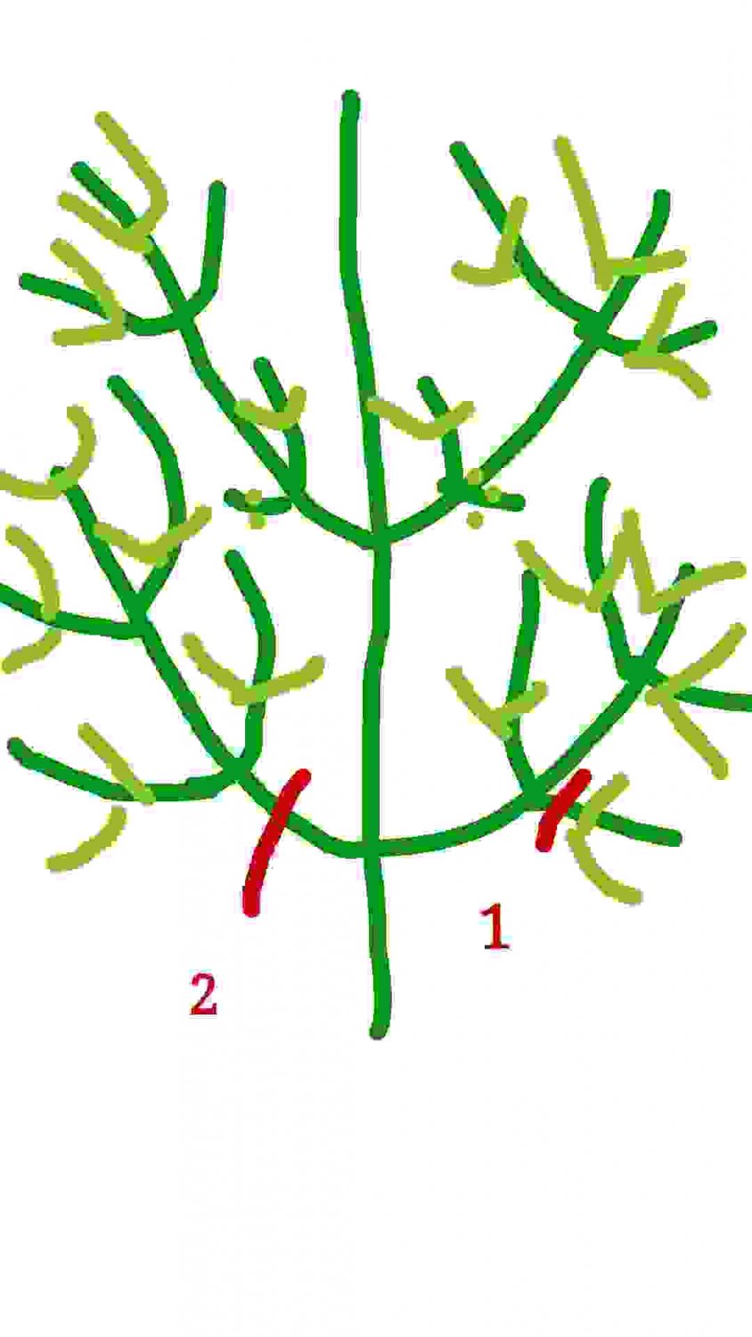 image1.jpg