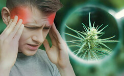 migraine.jpg migraine.jpg