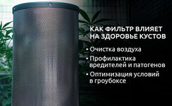 Kak-ugolnye-filtry-sposobstvuyut-zdorovomu-razvitiyu-kannabisa__Nmc9K98i3RF7PmRg.jpg Kak-ugolnye-filtry-sposobstvuyut-zdorovomu-razvitiyu-kannabisa__Nmc9K98i3RF7PmRg.jpg