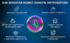 Kak-konoplya-mozhet-pomoch-introvertam__sQ9Qm16D8afYI5w4.jpg Kak-konoplya-mozhet-pomoch-introvertam__sQ9Qm16D8afYI5w4.jpg