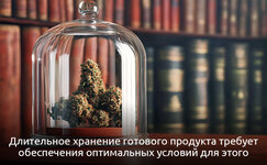 Na-chto-yeshche-nuzhno-obrashchat-vnimanie__uNELvdrSTI2wlbyg.jpg Na-chto-yeshche-nuzhno-obrashchat-vnimanie__uNELvdrSTI2wlbyg.jpg