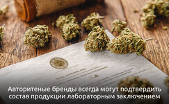 Kakim-dannim-vse-zhe-mozhno-doveryat__flJfWafzPeV0mSGV.jpg Kakim-dannim-vse-zhe-mozhno-doveryat__flJfWafzPeV0mSGV.jpg
