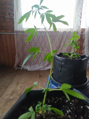 1721201704117.jpg