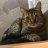 Rezroz
