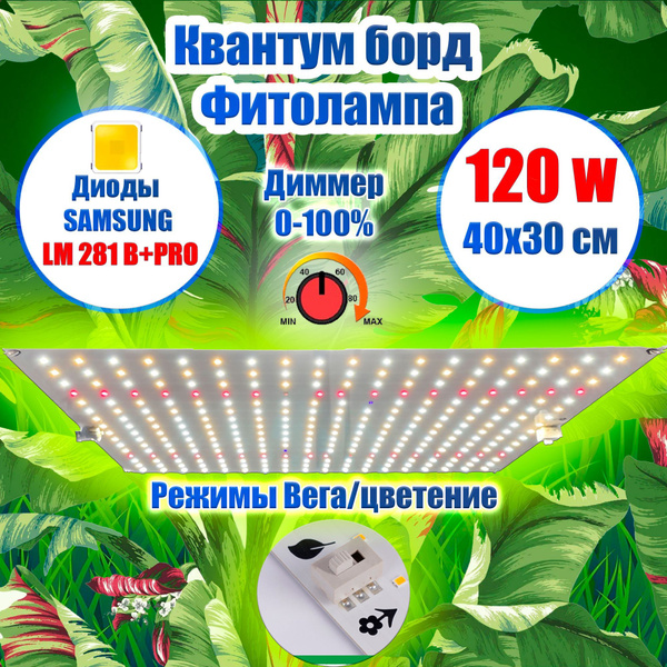 www.ozon.ru